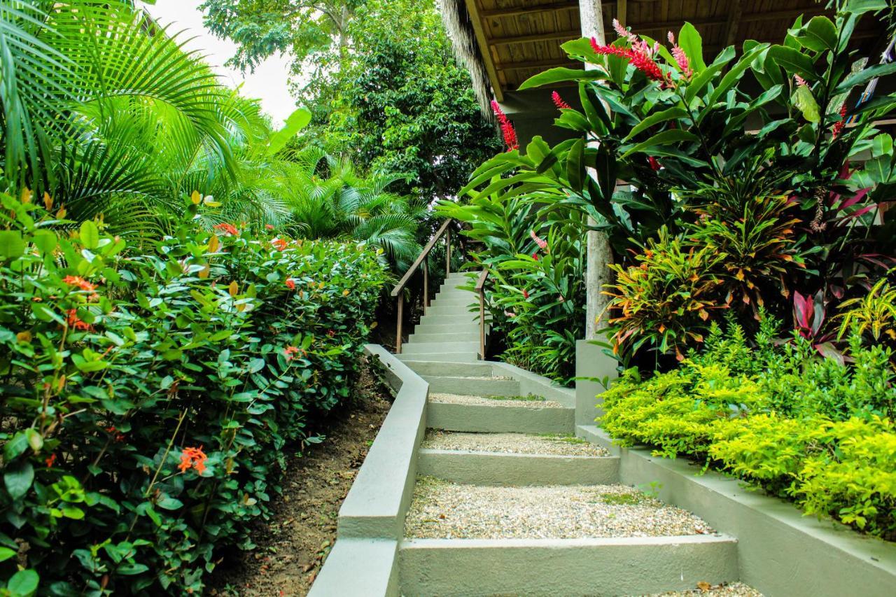 Hotel Isabella Tayrona لوس نارانخوس المظهر الخارجي الصورة