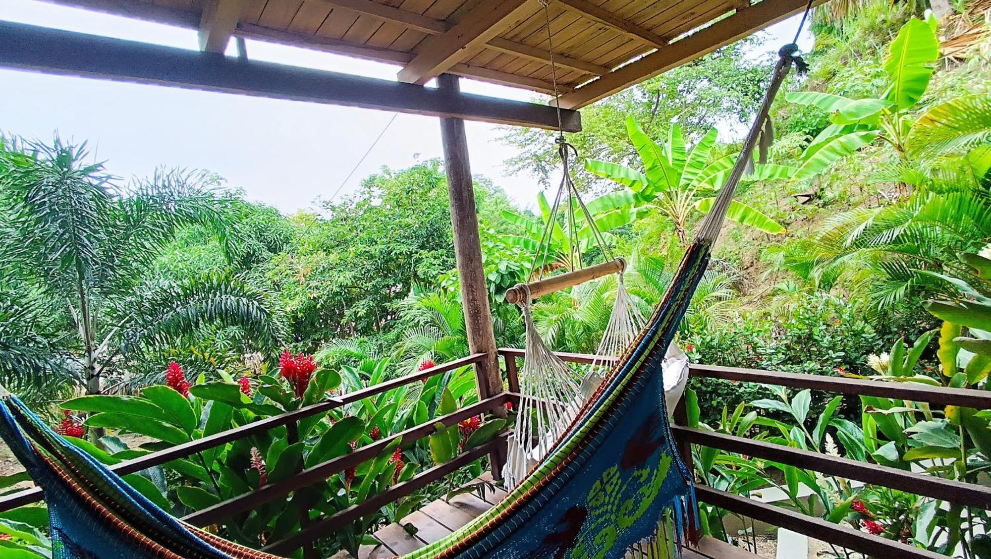 Hotel Isabella Tayrona لوس نارانخوس المظهر الخارجي الصورة